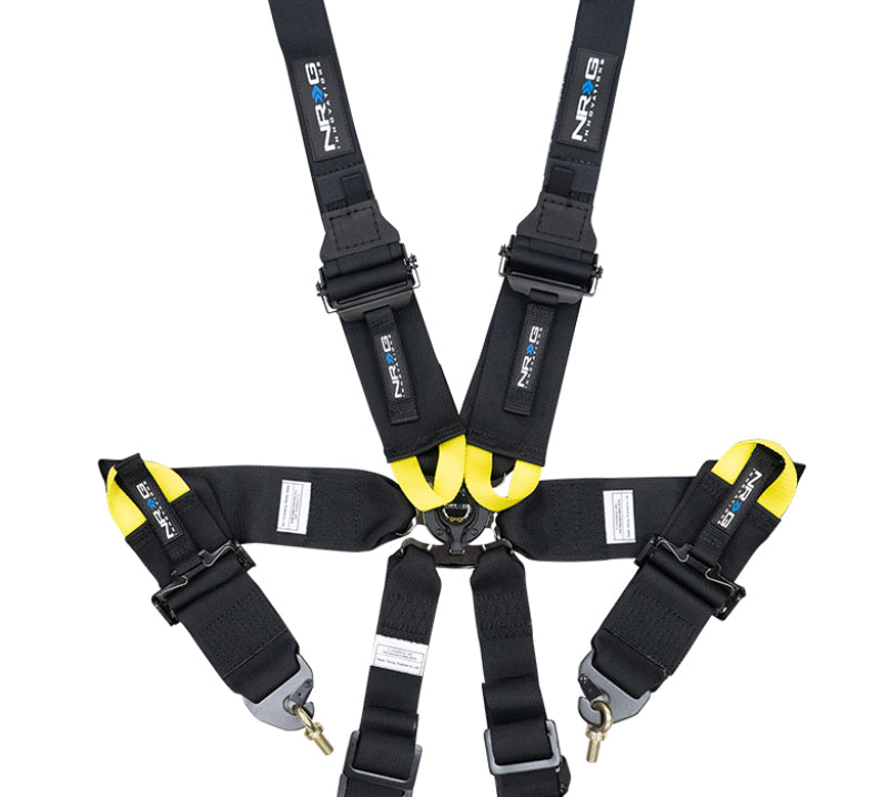 NRG Harness - 6PT