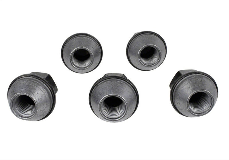 FR Lug Nut Kits