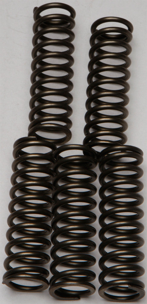 EBC CSK Coil & Spring Kits