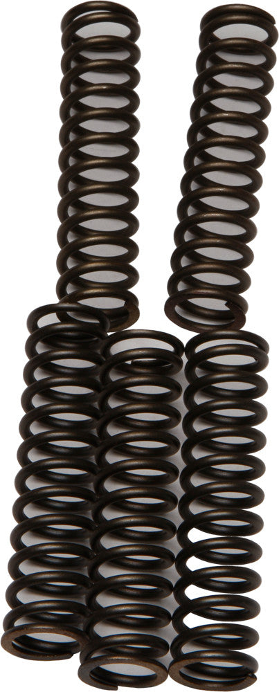 EBC CSK Coil & Spring Kits