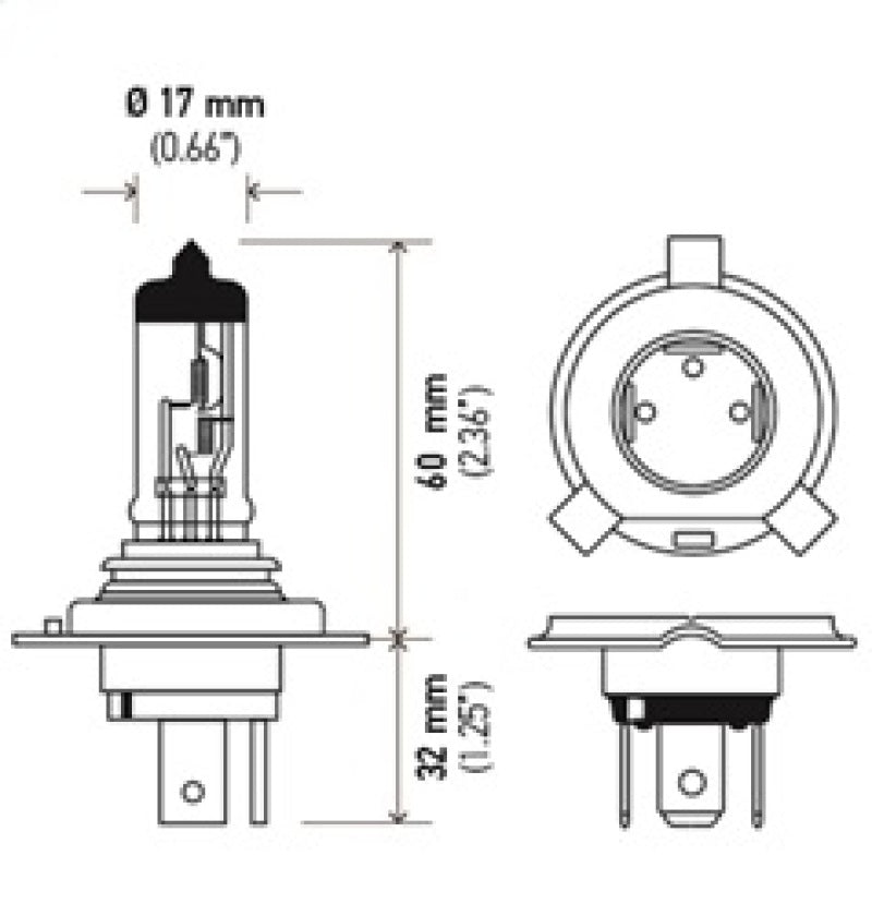 HELLA Halogen Bulb