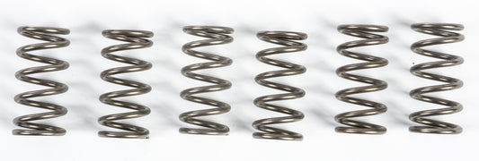 EBC CSK Coil & Spring Kits