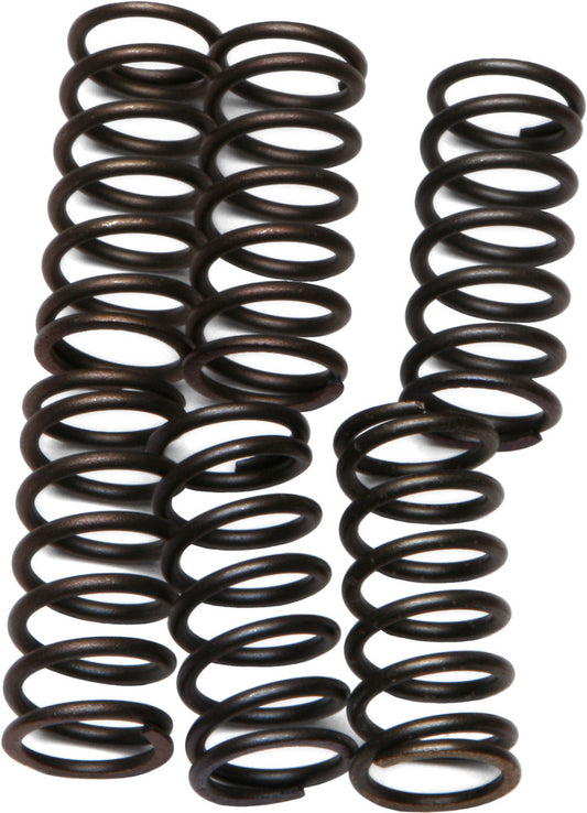 EBC CSK Coil & Spring Kits