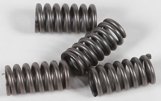 EBC CSK Coil & Spring Kits