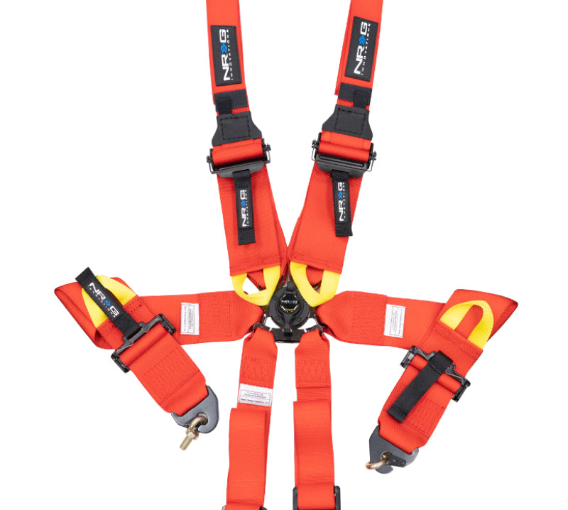 NRG Harness - 6PT