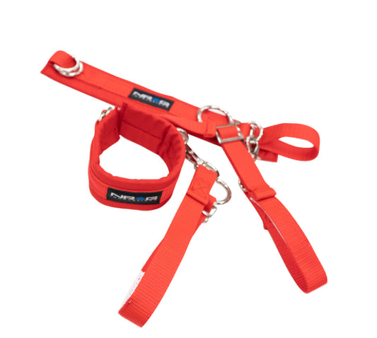 NRG Arm Restraints